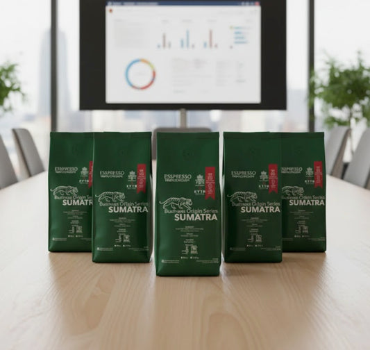 SUMATRA – Business Origin Series